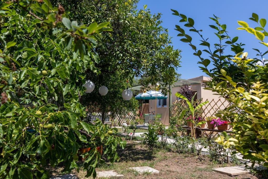 Bougainvillea House With Private Garden Faraí Eksteriør billede